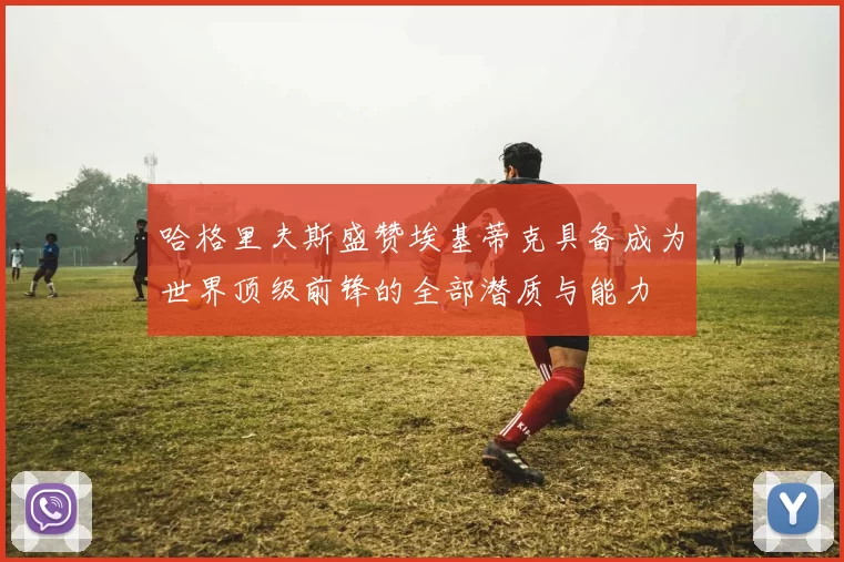 哈格里夫斯盛赞埃基蒂克具备成为世界顶级前锋的全部潜质与能力