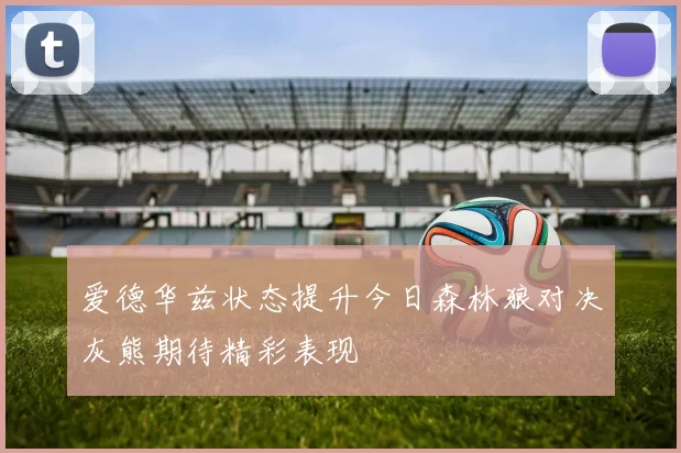 爱德华兹状态提升今日森林狼对决灰熊期待精彩表现