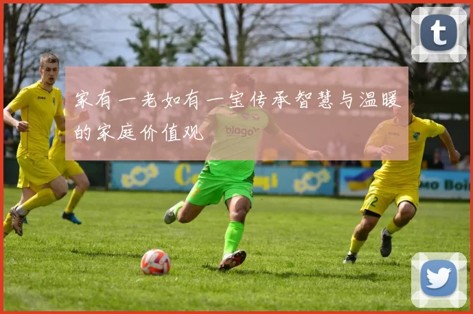 家有一老如有一宝传承智慧与温暖的家庭价值观
